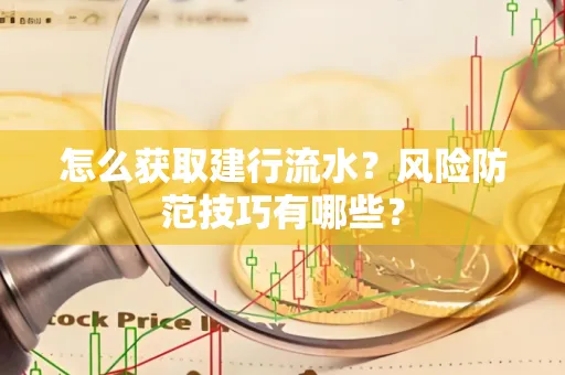 怎么获取建行流水？风险防范技巧有哪些？